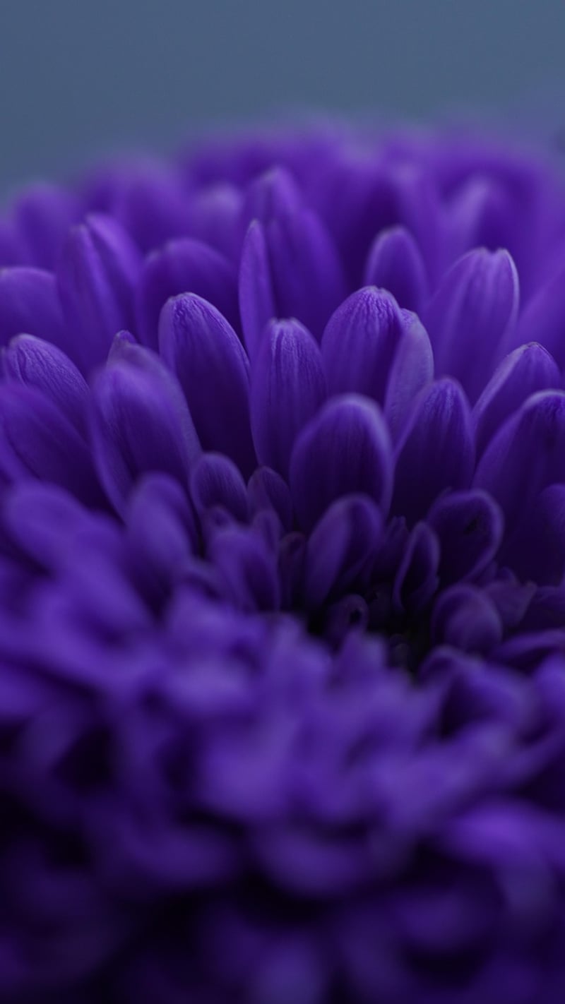 Fictional Horticulture