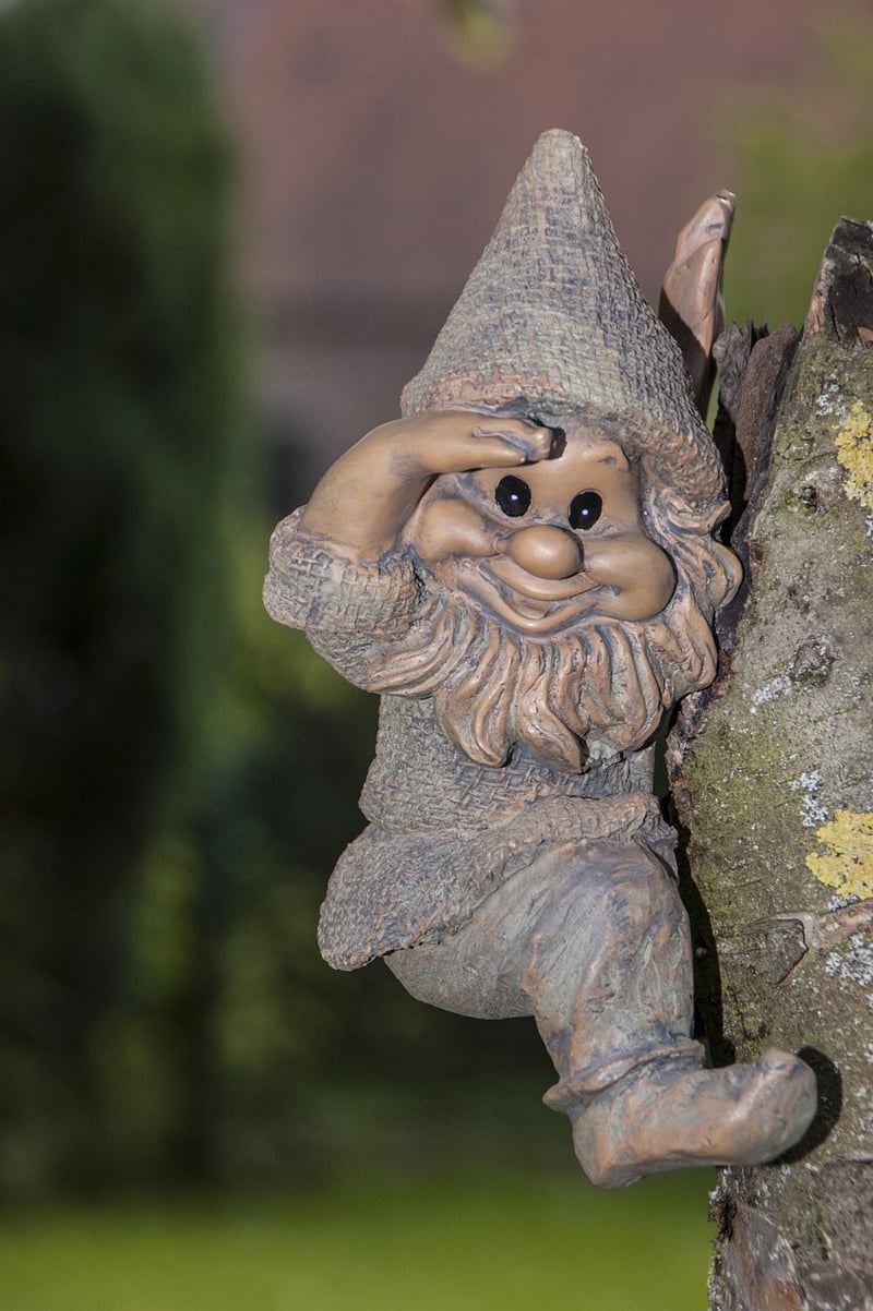 Gnome in garden