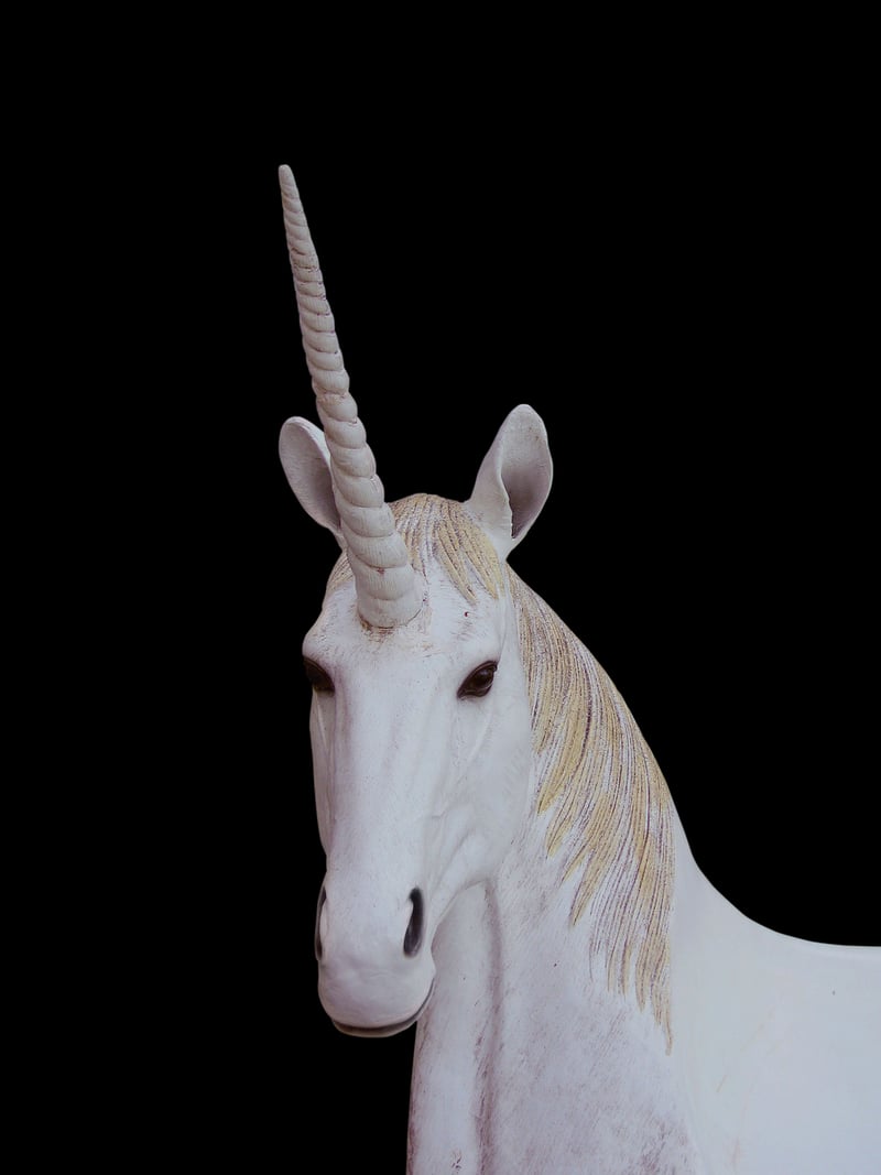 Unicorn in garden
